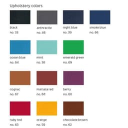 Upholstery Color Options